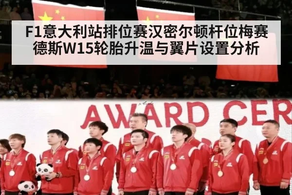 F1意大利站排位赛汉密尔顿杆位梅赛德斯W15轮胎升温与翼片设置分析